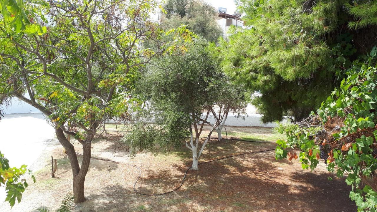 Chrisanthi Studios Agios Prokopios  Exteriér fotografie